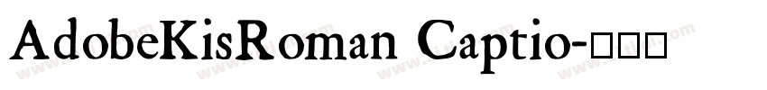 AdobeKisRoman Captio字体转换